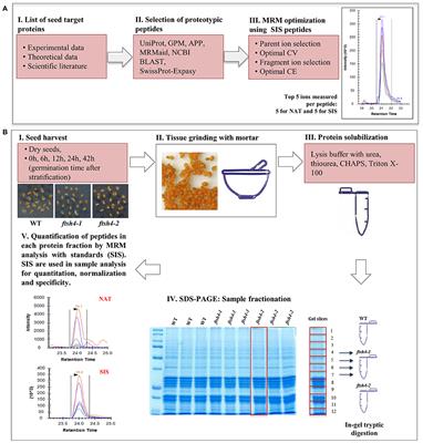 Targeted Proteomics Approach Toward Understanding the Role of the Mitochondrial Protease FTSH4 in the Biogenesis of OXPHOS During Arabidopsis Seed Germination